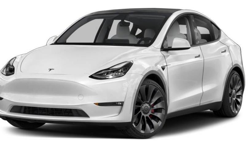 TESLA MODEL Y 2021 5YJYGDEE7MF311670 image